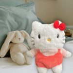 accessoire Hello Kitty bouillotte