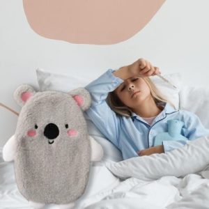 bouillotte peluche teddy gris