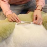 jouet en peluche crocodile rose