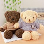 ours en peluche et son t-shirt