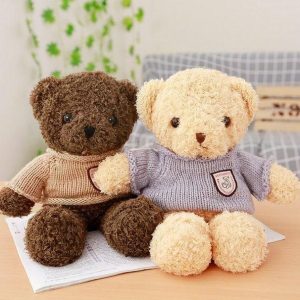 ours en peluche et son t-shirt