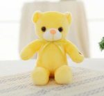 ourson en peluche qui éclaire