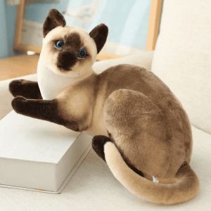 peluche chat siamois
