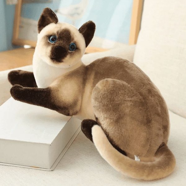 peluche chat siamois