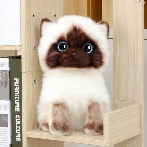 peluche chaton siamois