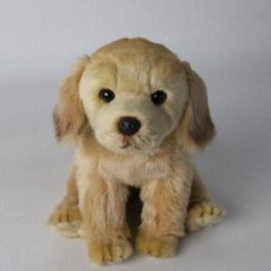 peluche chien golden retriever