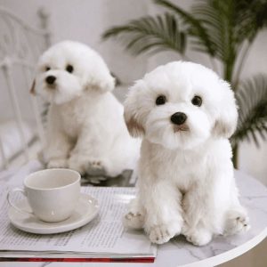 peluche chien mignon