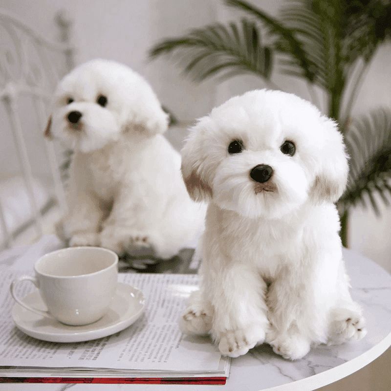 peluche chien mignon