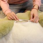 peluche douce crocodile gris