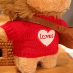 peluche lion mignon habillé