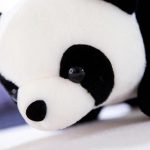 peluche panda géante