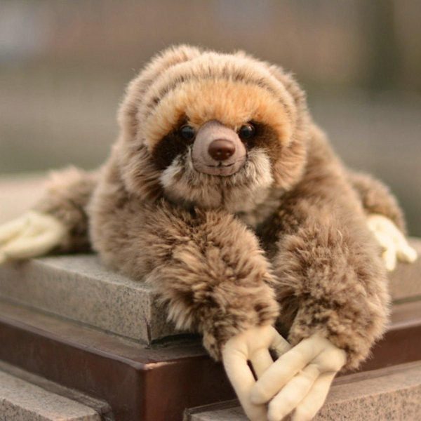 peluche paresseux douce