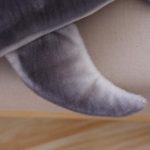 peluche requin pour enfants