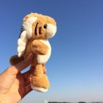 tigre de l'amour peluche